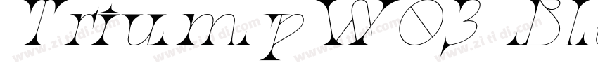 TriumpW03 BlackItali字体转换